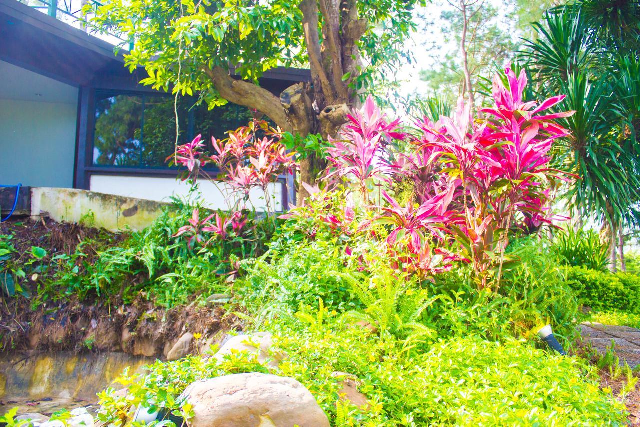 Bird Land Resort Khao Kho Ngoại thất bức ảnh