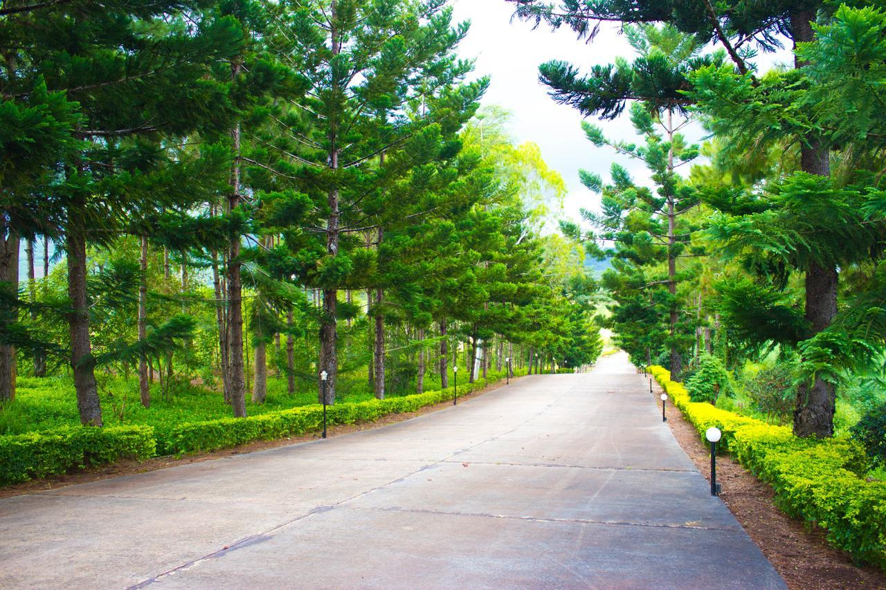 Bird Land Resort Khao Kho Ngoại thất bức ảnh