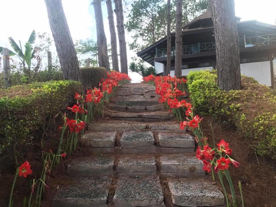 Bird Land Resort Khao Kho Ngoại thất bức ảnh