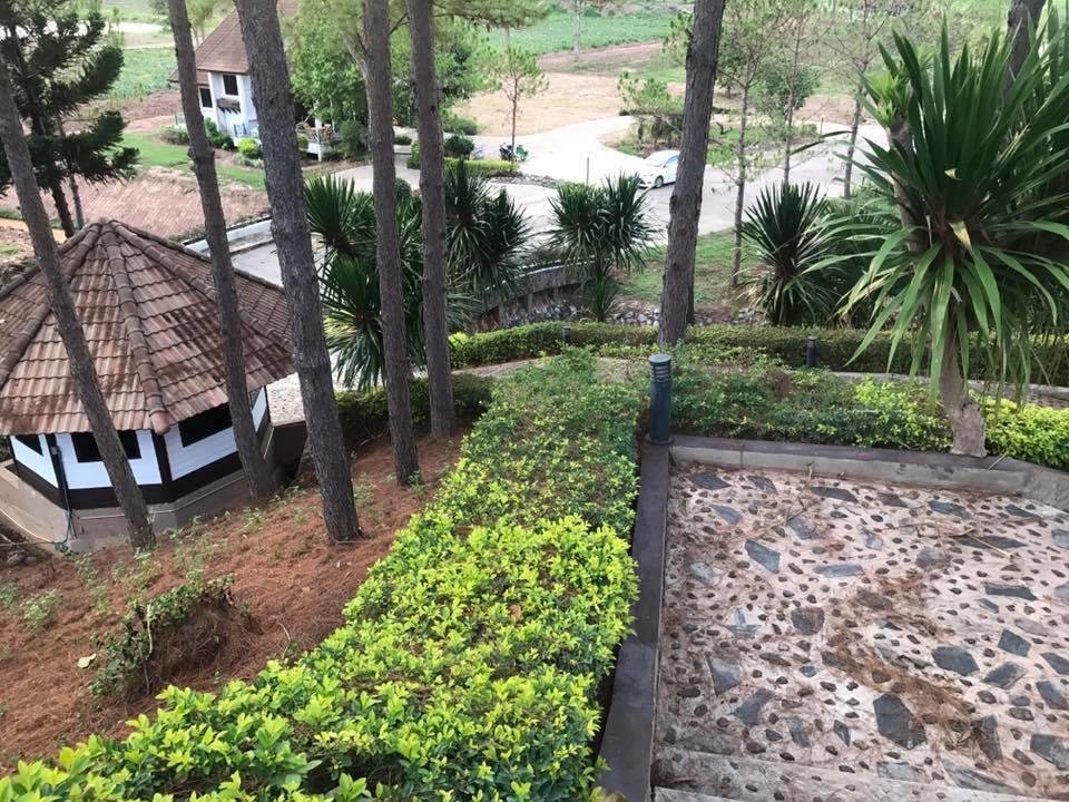 Bird Land Resort Khao Kho Ngoại thất bức ảnh